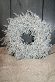 ASPARAGUS WREATH WHITE 28 CM