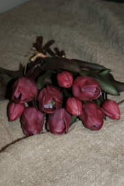 TULPEN PURPLE 30 CM