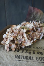 KUNST HORTENSIA -HYDRANGEA BROWN