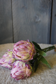 KUNST ANTISJOK - ROZE