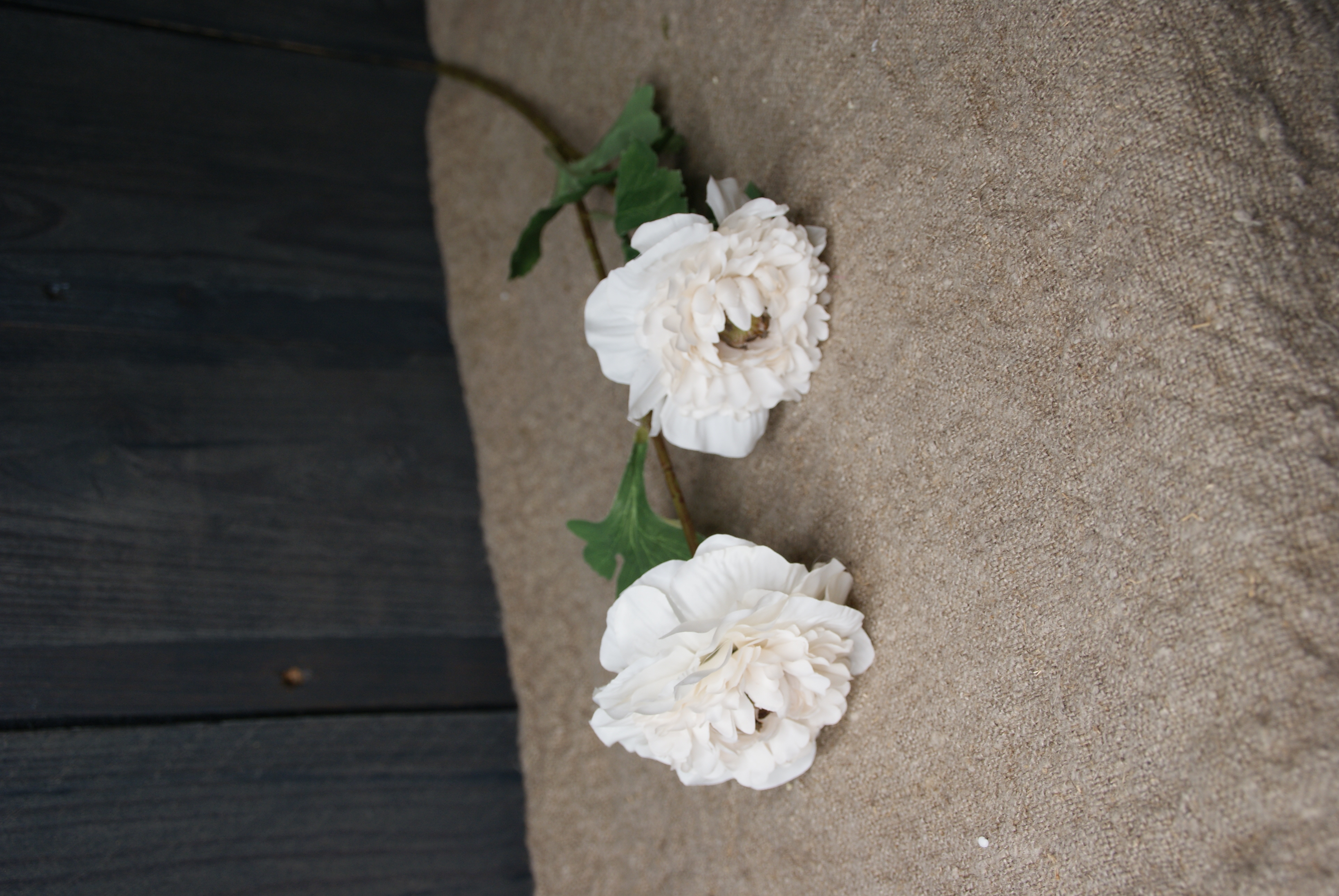 ANEMONE WHITE- S