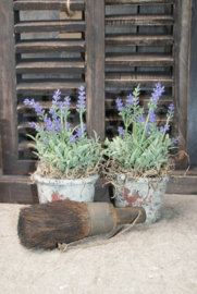 KUNST LAVENDEL IN POTJE - LILA