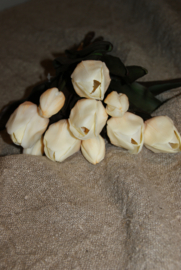 TULPEN CREME 30 CM