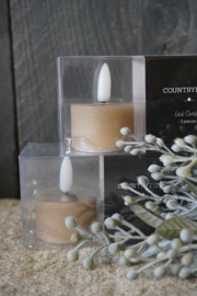 COUNTRYFIELD WAXINEKAARSEN - BEIGE