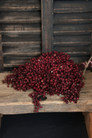 PEPPERBERRY- BORDEAUX