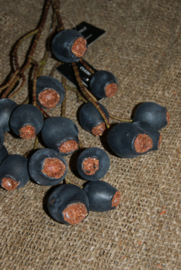 PRUNUS DONKER BLAUW