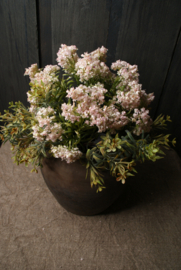 BLOESEM- ROZE
