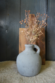 GYPSOPHILA - BRUIN