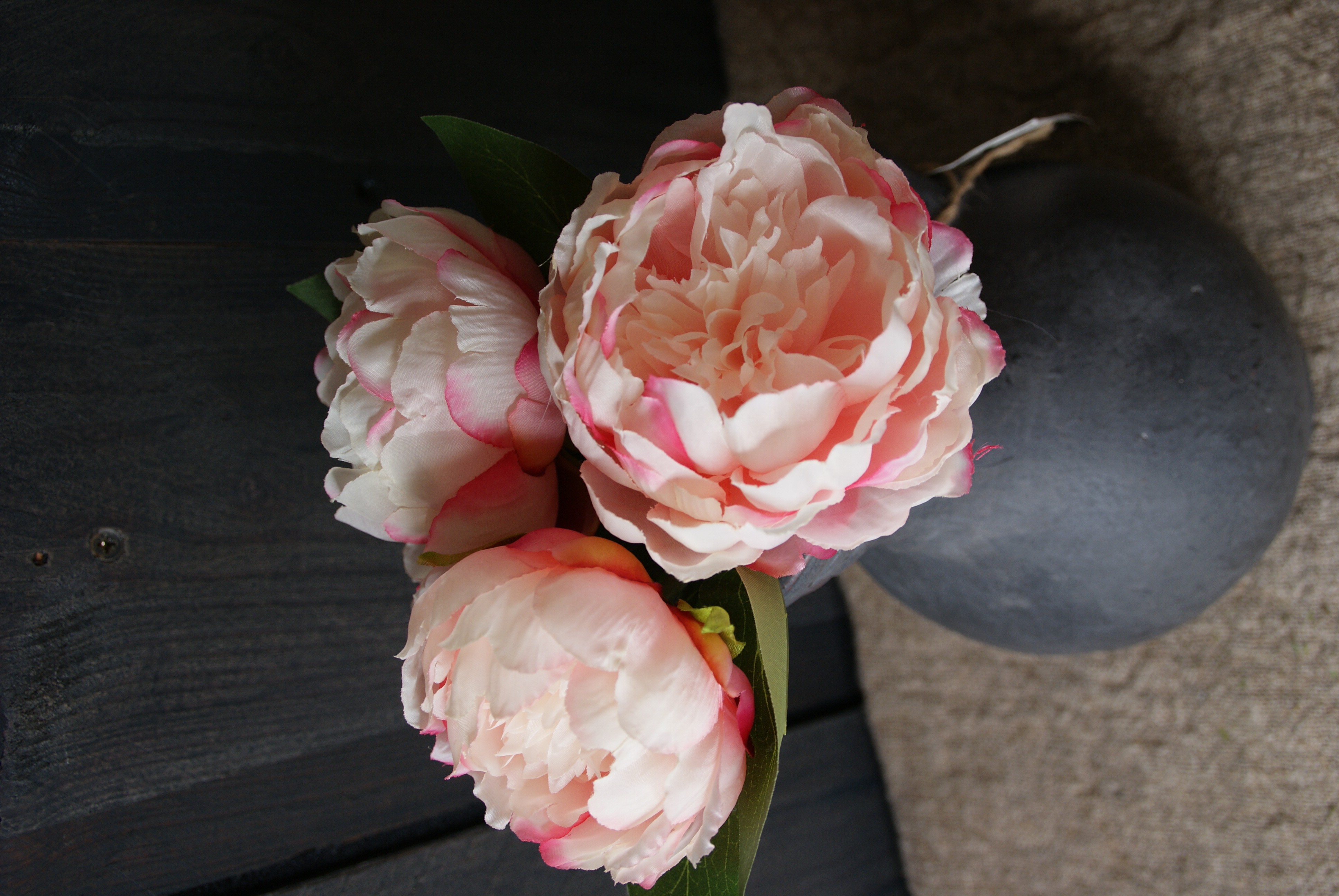 PIOENROOS PINK