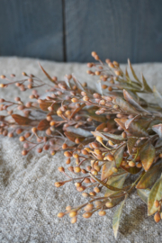 KUNST BESSENTAK BROWN