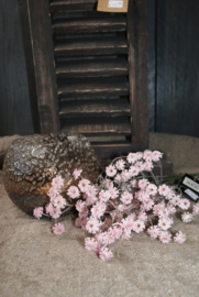 GYPSOPHILA LICHT ROZE
