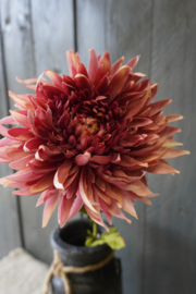CHRYSANTUM SPRAY PINK