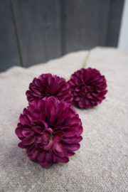 DAHLIA POMPON MINI SPRAY 3X BURGUNDY