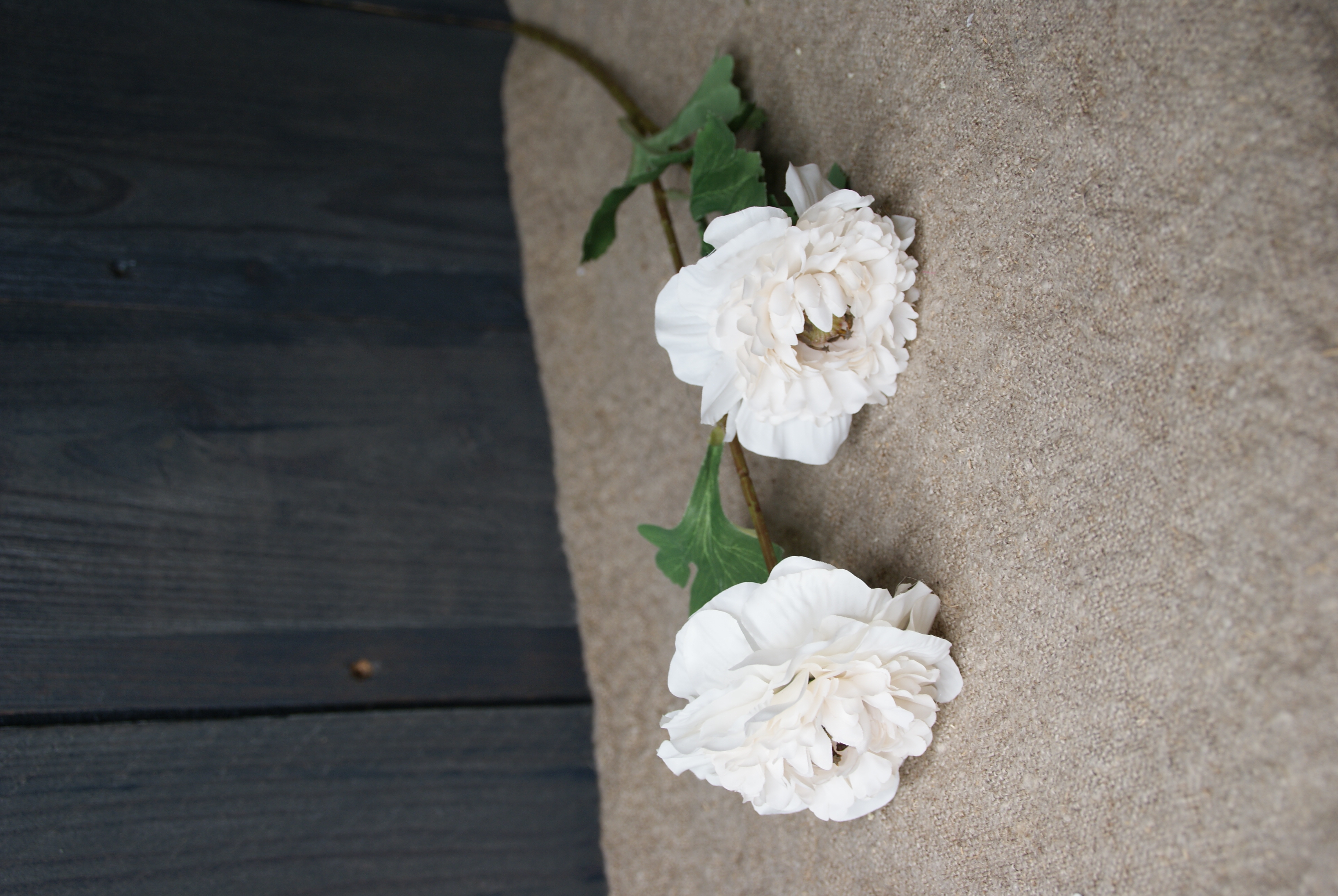 ANEMONE WHITE- S