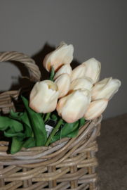 TULPEN CREME 30 CM