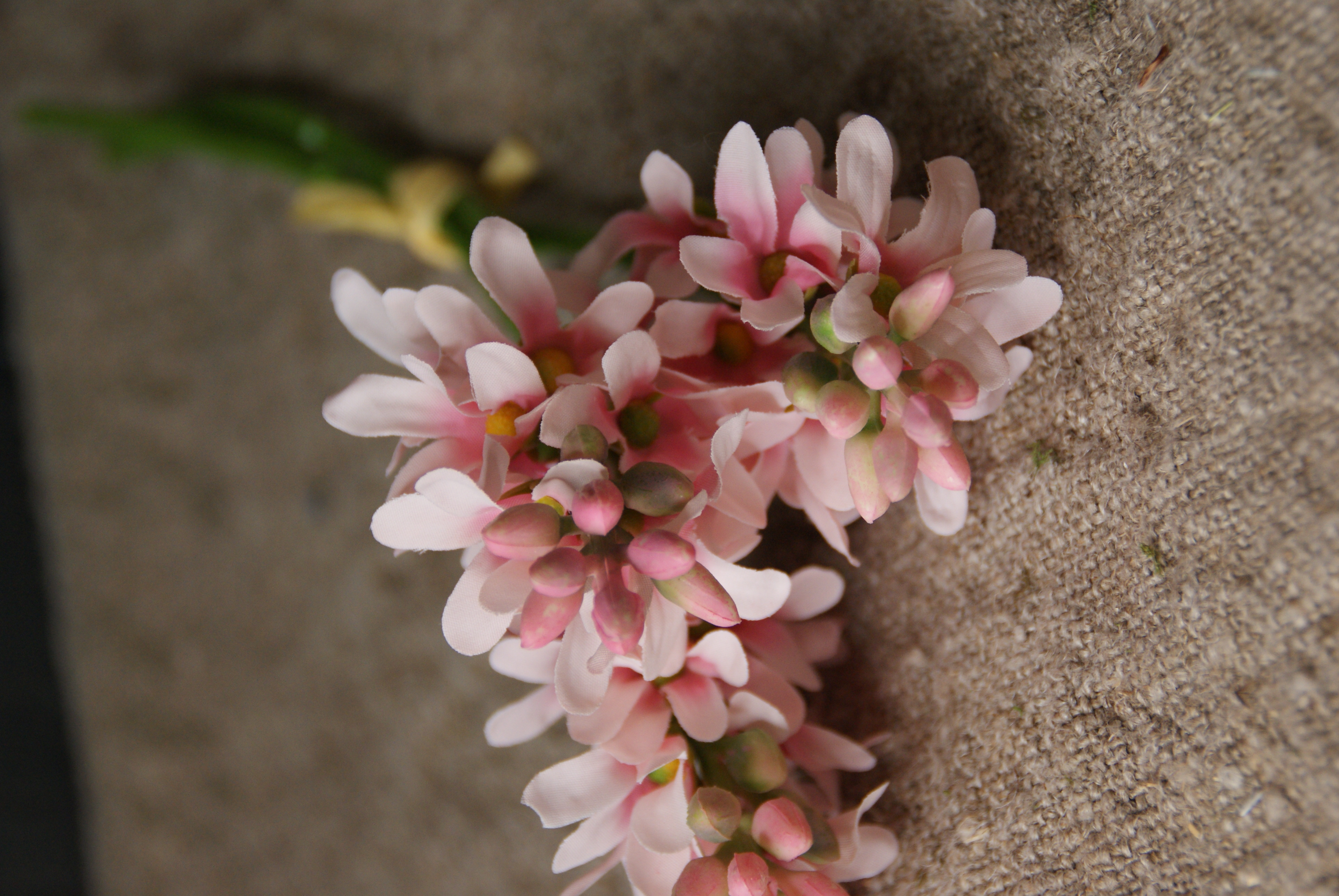 WILD HYACINT -PINK