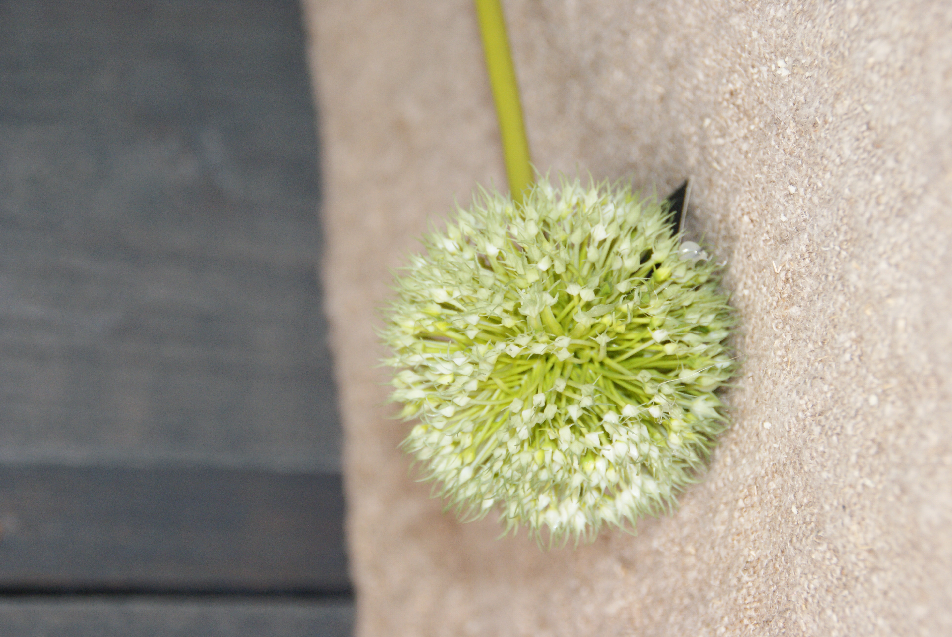 ONION BALL FLOWER SPRAY GREEN - S
