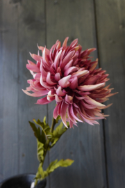 CHRYSANTUM SPRAY PINK