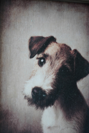 HOUTEN SCHILDERIJ MET HOND OP HOUTEN VOET