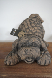 BARKING DOG MAJESTIC BROWN