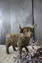 HOOGLANDER- STAAND