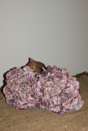 KUNST HORTENSIA- ZACHT LILA