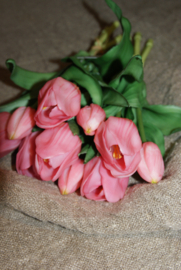 TULPEN ROZE 30 CM