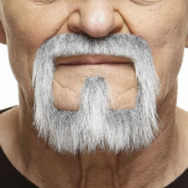 Ringbaard