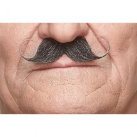 Krulsnor