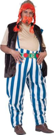 Obelix kostuum