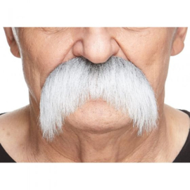 Walrus snor