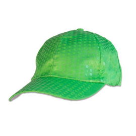 Pet sequin neon