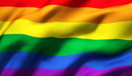Vlag Regenboog 90x150CM