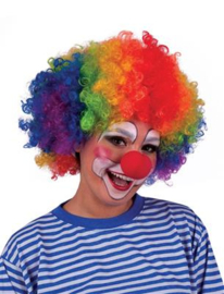 Pruik Clown regenboog
