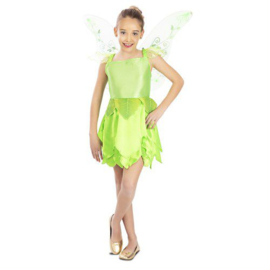 Tinkerbell kind