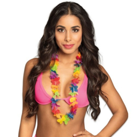 Hawaiikrans regenboog
