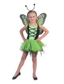 Vlinder belle groen