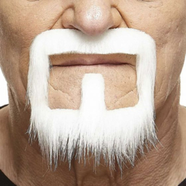 Ringbaard
