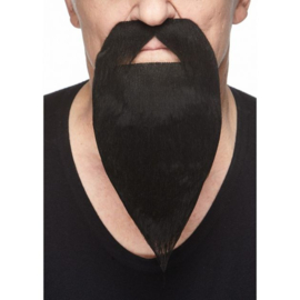 Snor met lange baard