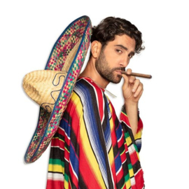 Sombrero met multicolor rand