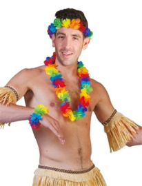 Hawaiiset 4 delig
