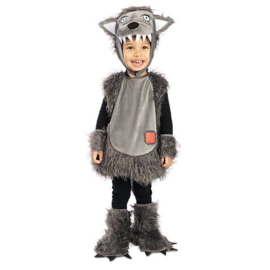 Baby wolf