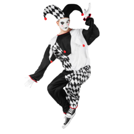 Kostuum Jester