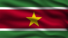 Landenvlag Suriname 90x150cm