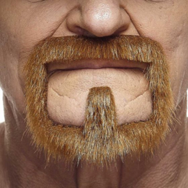 Ringbaard