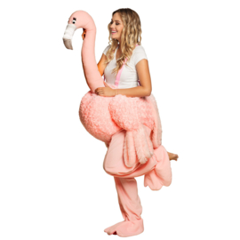 Kostuum op een Flamingo