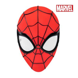Masker Spiderman kind