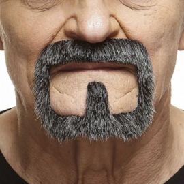 Ringbaard