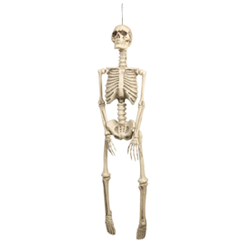 Decoratie Skelet 92cm