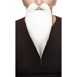 Snor met lange baard